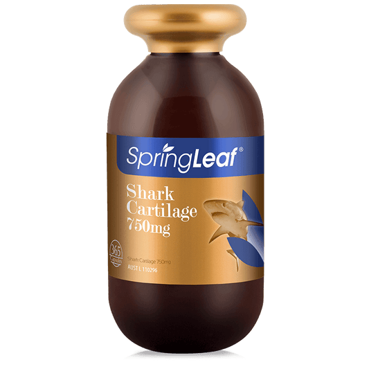 Spring Leaf Shark Cartilage 750mg 365 Capsules - QVM Vitamins™
