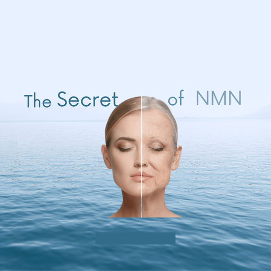 Unlocking the Secrets of NMN Supplements: Exploring the Fountain of Youth - QVM Vitamins™